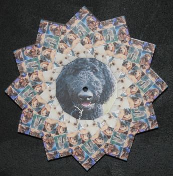6826